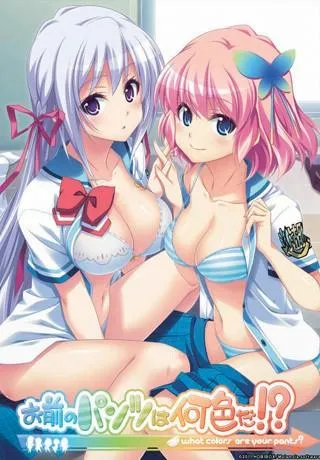 お前のパンツは何色だ!? 封面
