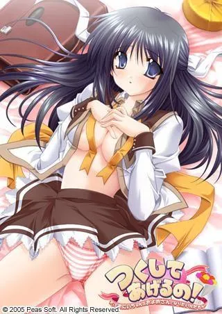 つくしてあげるの! ~だっておにいちゃんのおよめさんになりたいんだもん~ 封面