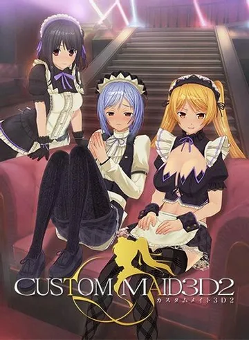 3D定制女仆2 封面