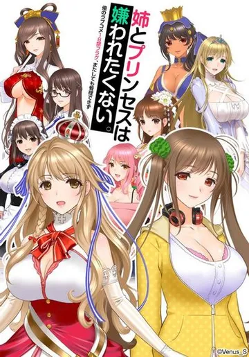 姉とプリンセスは嫌われたくない。 -俺のラブコメ18禁フラグ、またしても管理できず- 封面