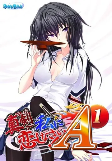 真剣で私に恋しなさい!A-1 封面