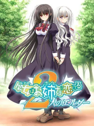 少女爱上姐姐:2位艾露达 封面