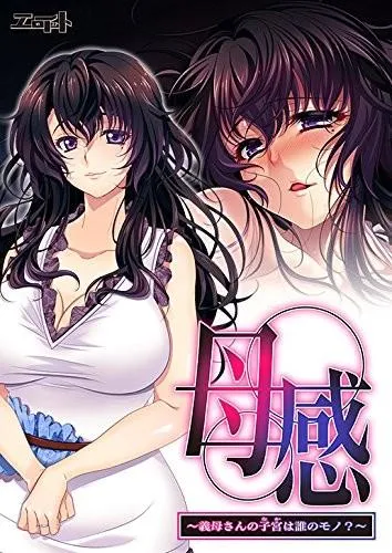 母感~義母さんの子宮は誰のモノ?~ 封面