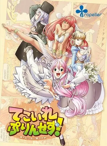 てこいれぷりんせす！ ～僕が見えない君のため～ 封面