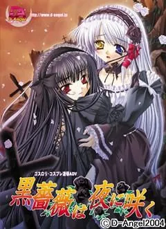 黒薔薇は夜に咲く 封面