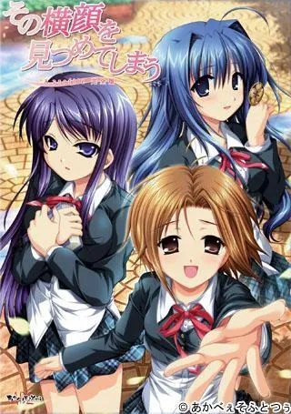 凝视那侧脸 ~A Profile 完全版~ 封面