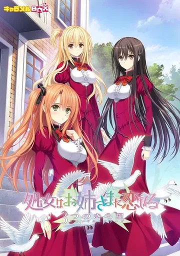少女爱上姐姐 三颗闪耀之星 封面
