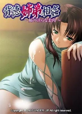 背徳姉弟相姦～姉の淫らな柔肉～ 封面