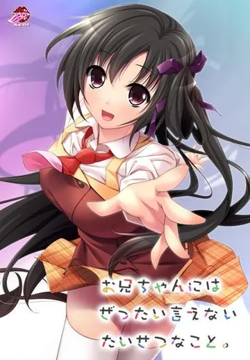 お兄ちゃんにはぜったい言えないたいせつなこと。 封面