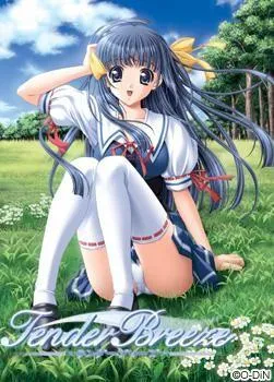Tender Breeze（テンダーブリーズ） 封面