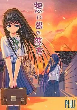 想い出の彼方 封面