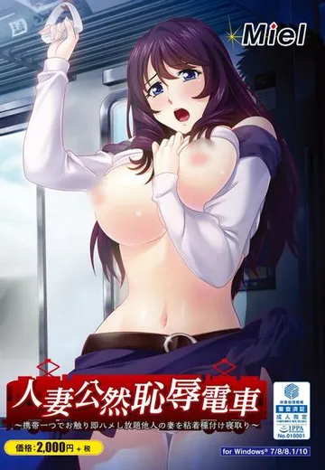 人妻痴汉电车 封面