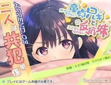 无法忍耐的处男哥哥和不坦率的报逆妹妹APPEND.03两人是共犯关系 封面
