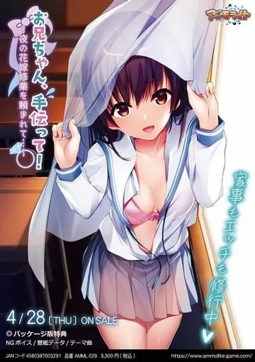 お兄ちゃん、手伝って!~夜の花嫁修業を頼まれて…~ 封面