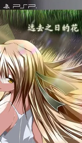 远去之日的花 封面