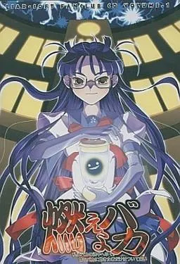 燃えよバカ ～私はバカの渦中へゆく。世のバカに飽きた物だけはついて来い～ 封面