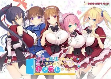 彼女(ヒロイン)は友達ですか?恋人ですか?それともトメフレですか? 封面