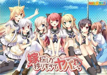 选择妻子的进展似乎顺利过头。 封面