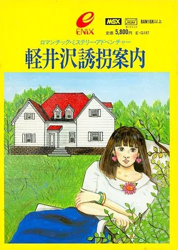 軽井沢誘拐案内 封面
