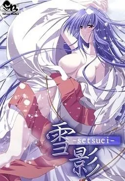 雪影 封面
