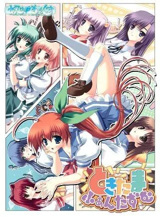 ときたまふぁんたずむ 封面