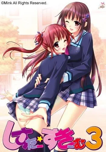 しすたー・すきーむ3 封面