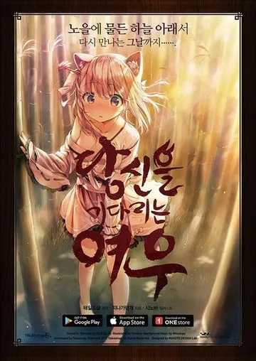 狐狸在等我 封面