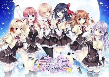 乙女が結ぶ月夜の煌めき 封面