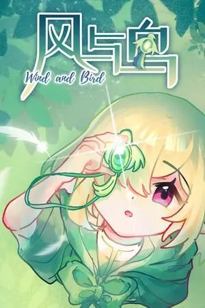 风与鸟 封面