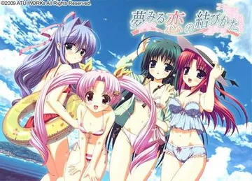 夢みる恋の結びかた 封面
