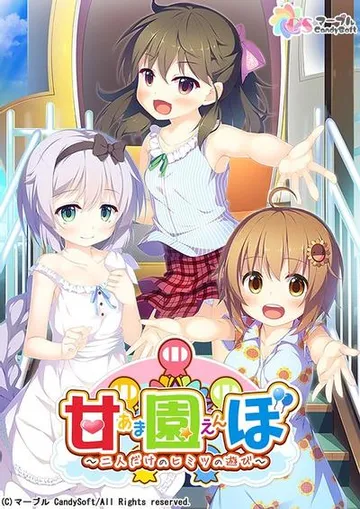 甘園ぼ～二人だけのヒミツの遊び～ 封面