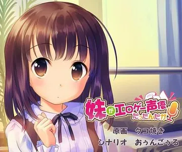 妹がエロゲー声優だったんだが 封面