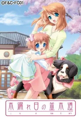 木漏れ日の並木道 封面