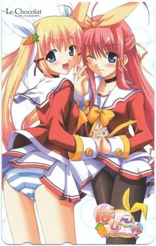 ぱ・ぴ・こ・ん ～双子の娘はどうきゅうせい～ 封面
