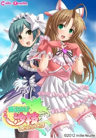 魔法少女沙枝豪华版 封面