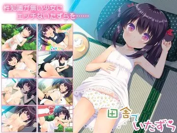 田舎でいたずら 封面