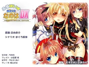 ふるぼいす 魔法少女なのはDX PREMIUM SPECIAL EDITION 封面