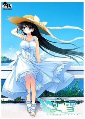 夏雪~summer_snow~ 封面