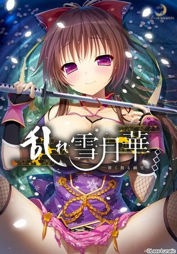乱雪月华~虚幻飘散的细雪~ 封面