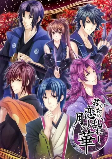 君がため、恋し乱れし月の華 封面