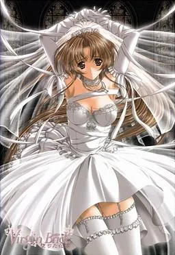 Virgin Bride~堕ちた花嫁~ 封面