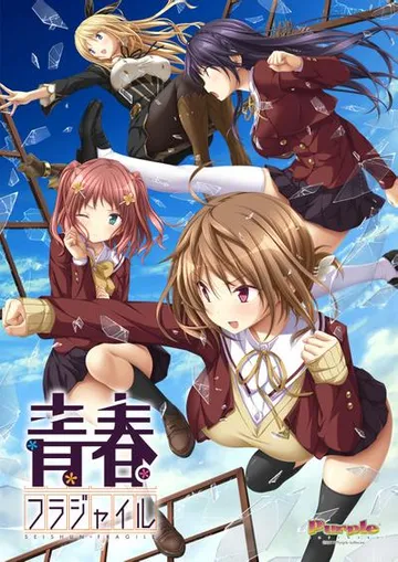 青春フラジャイル 封面