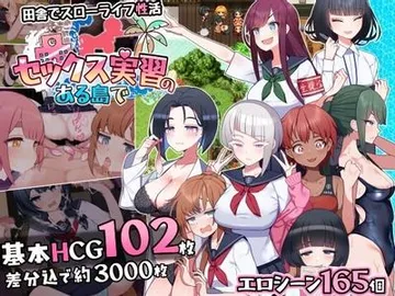 セックス実習のある島で 封面