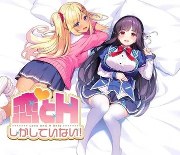 恋とHしかしていない！ 封面