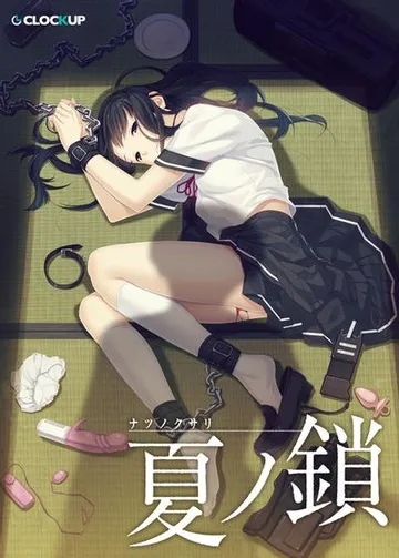 夏之锁 封面