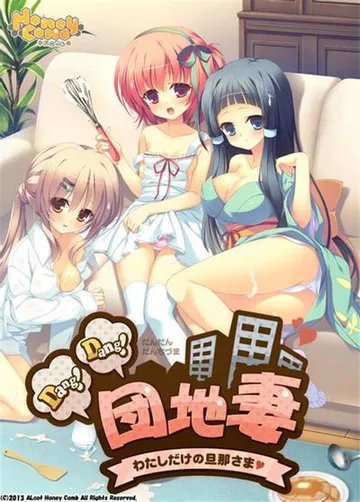 Dang!Dang!団地妻 -わたしだけの旦那さま♥- 封面