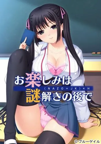 お楽しみは謎解きの後で 封面