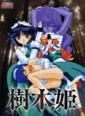 樹木姫 封面