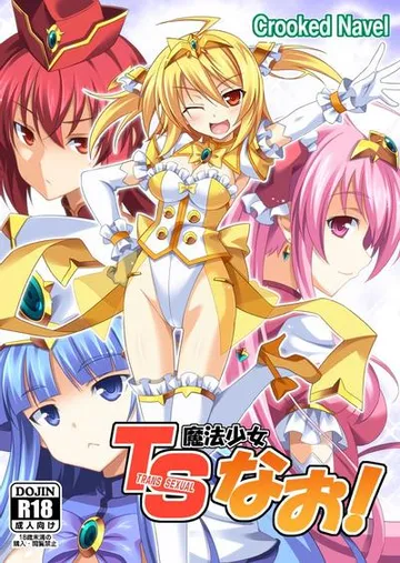 TS魔法少女なお! 封面