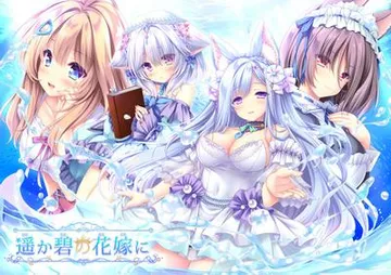 献给蔚蓝之海的新娘 封面